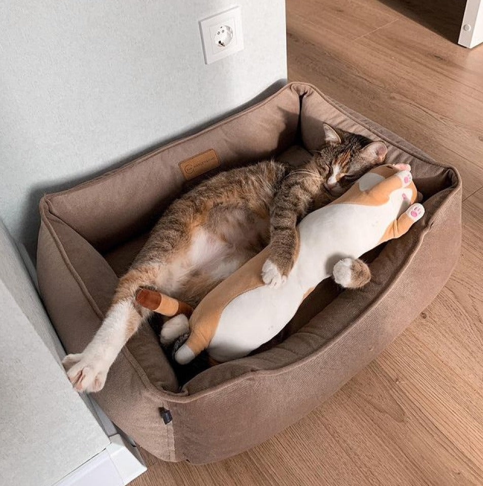 Dreamer Velvet Cat Bed