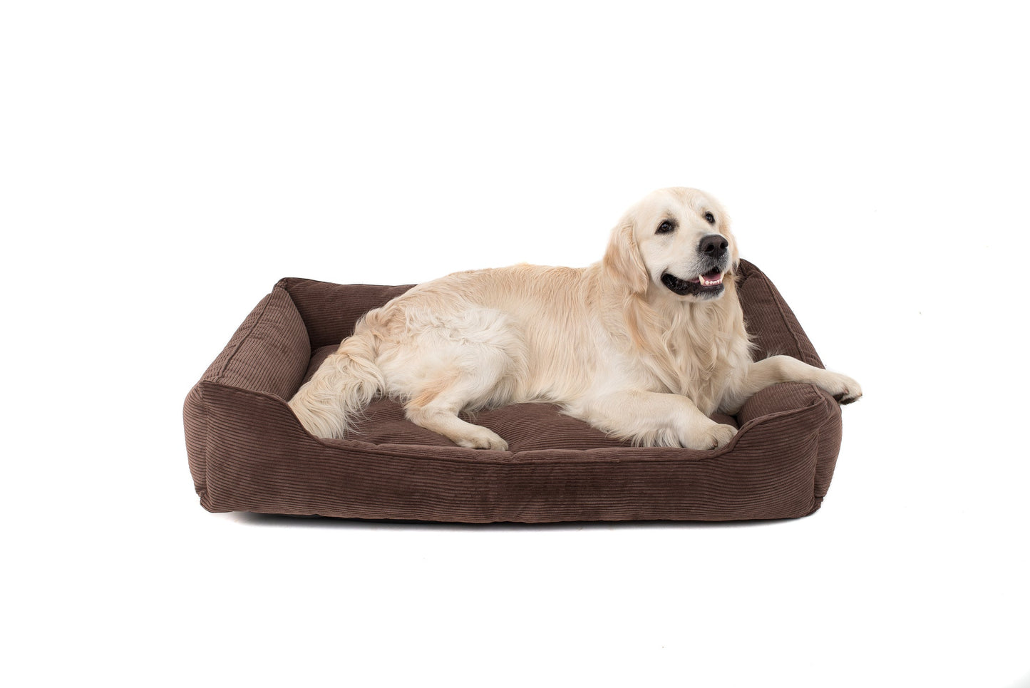 Dreamer Corduroy Dog Bed