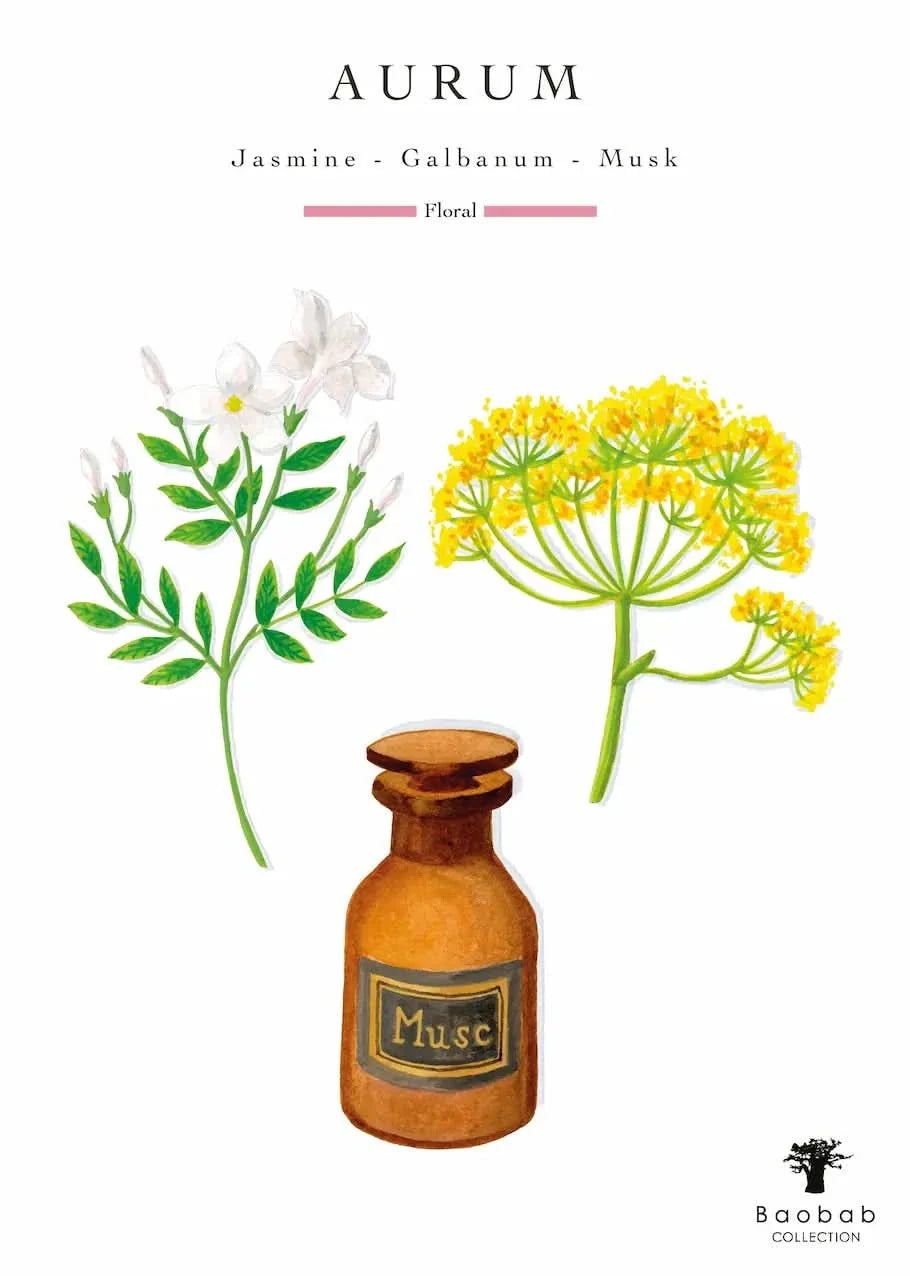 Baobab Collection | Aurum Candle