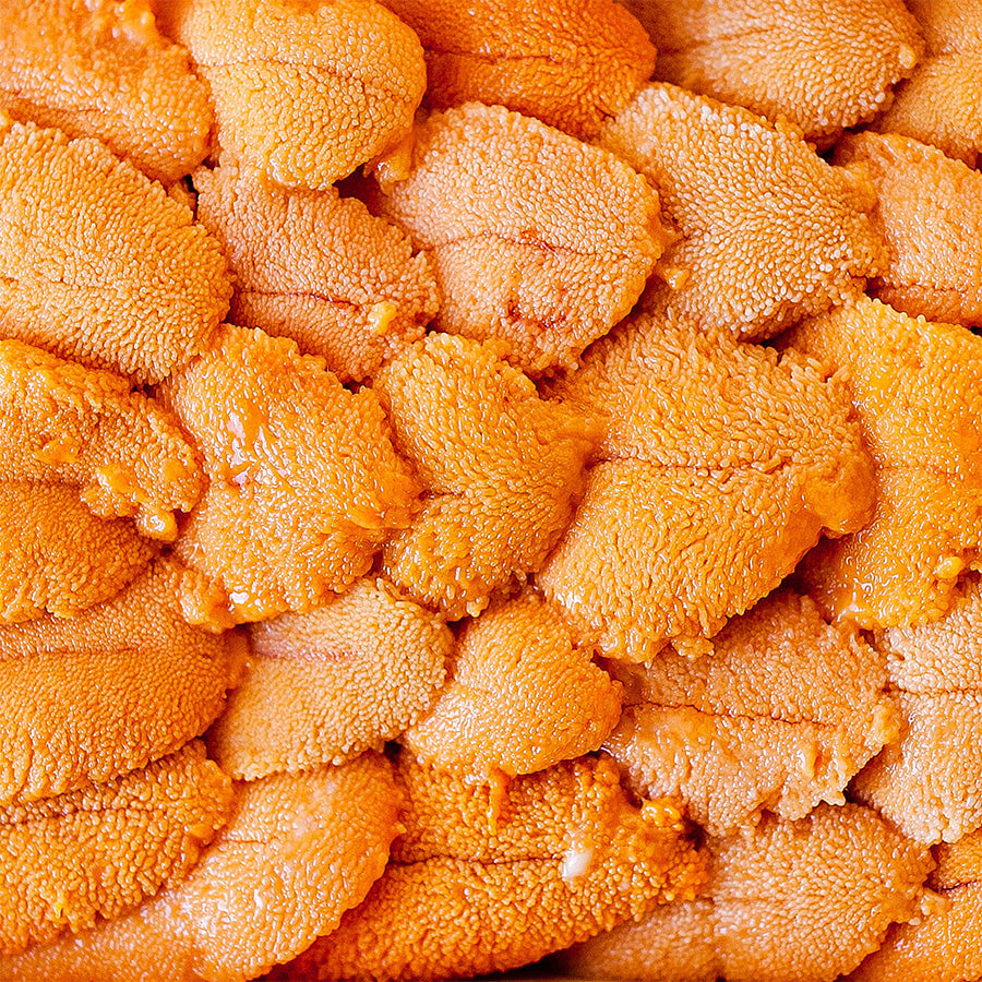 Santa Barbara Premium Fresh Sea Urchin Uni | Grade XA