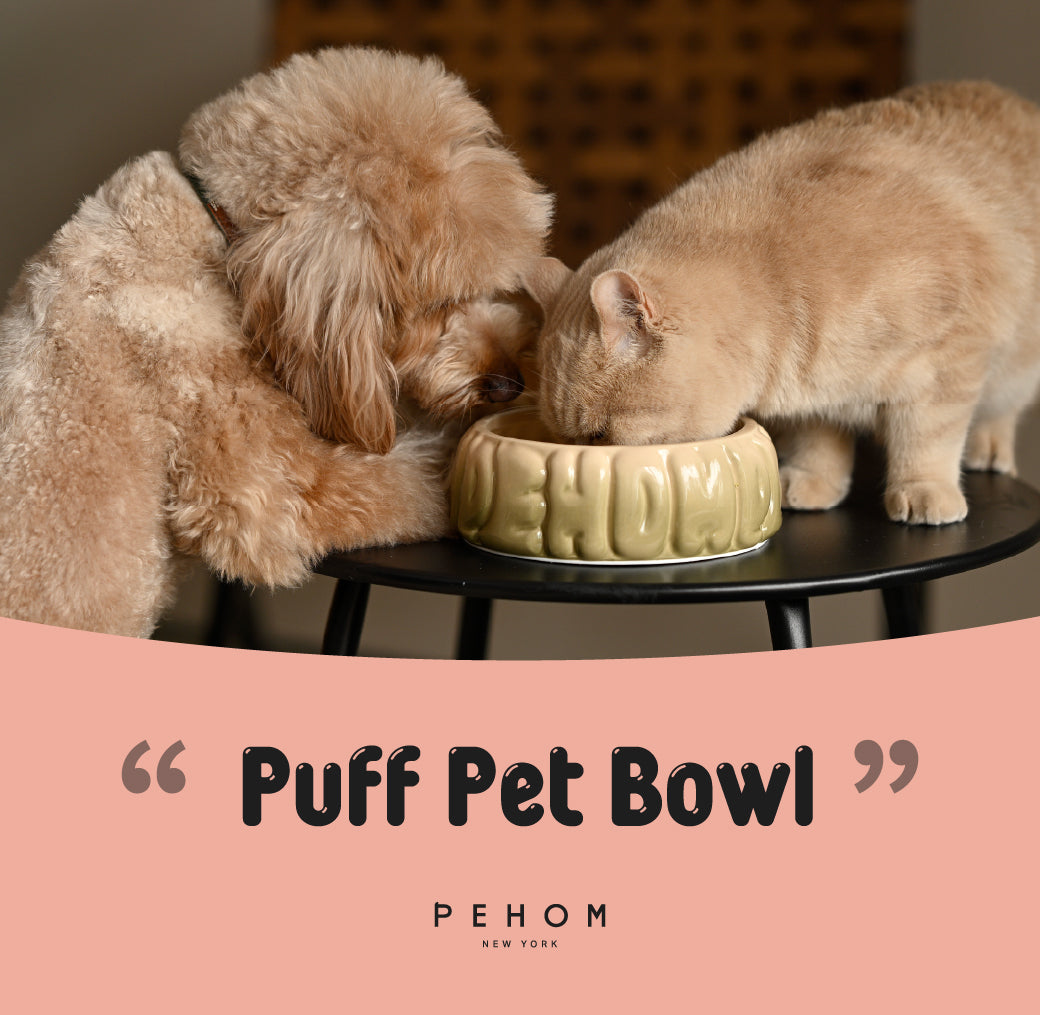 PEHOM | Puff Pet Bowl | Gradient Caramel