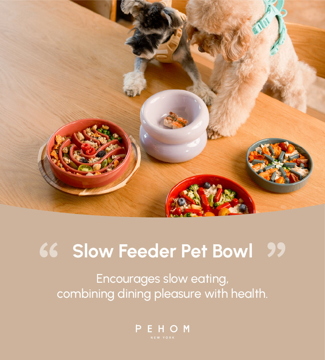 PEHOM | Wave Slow Feeder Dog Bowls