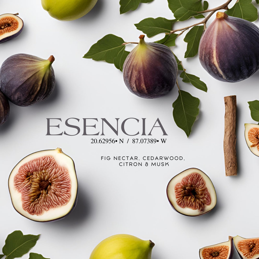Esencia 20° 87° | 14 oz Double Wick