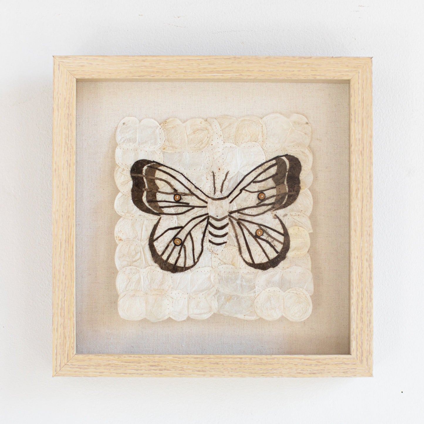 Mini Moth | Ceranchia Apollina