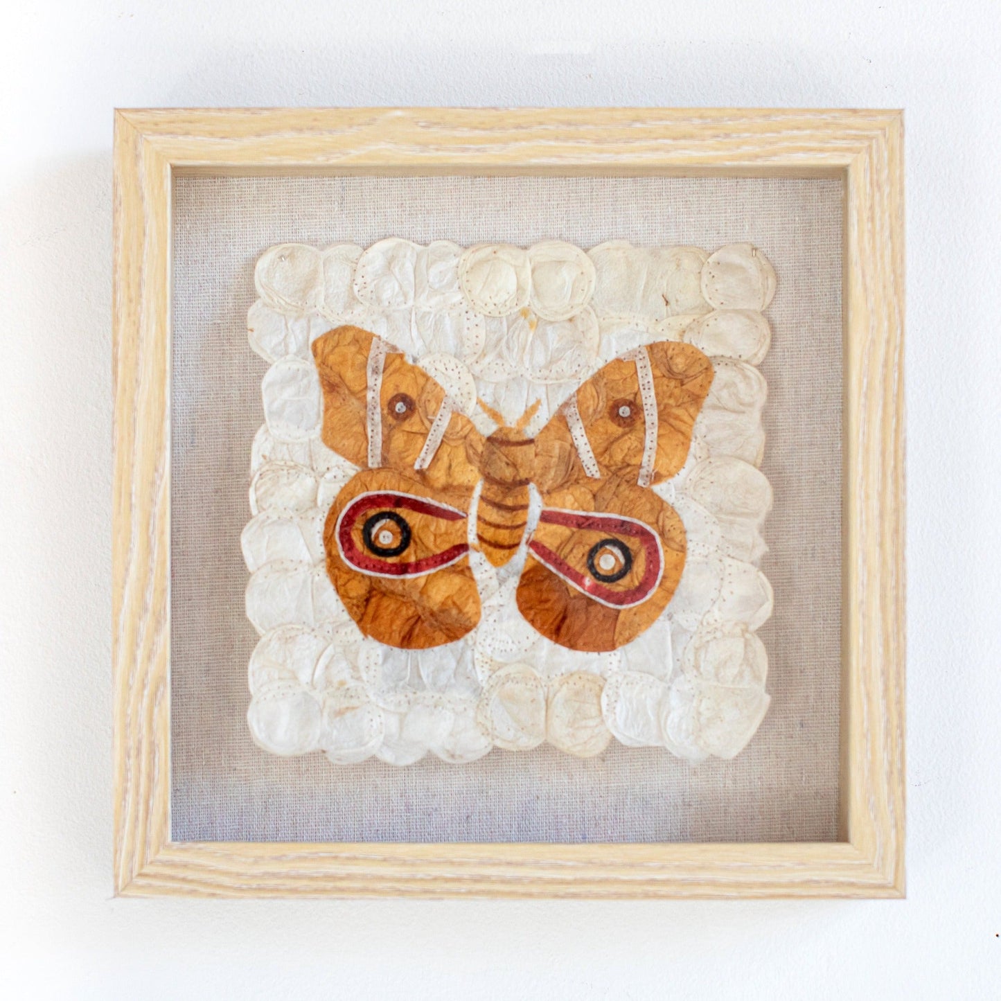 Mini Moth | Antherina Suraka