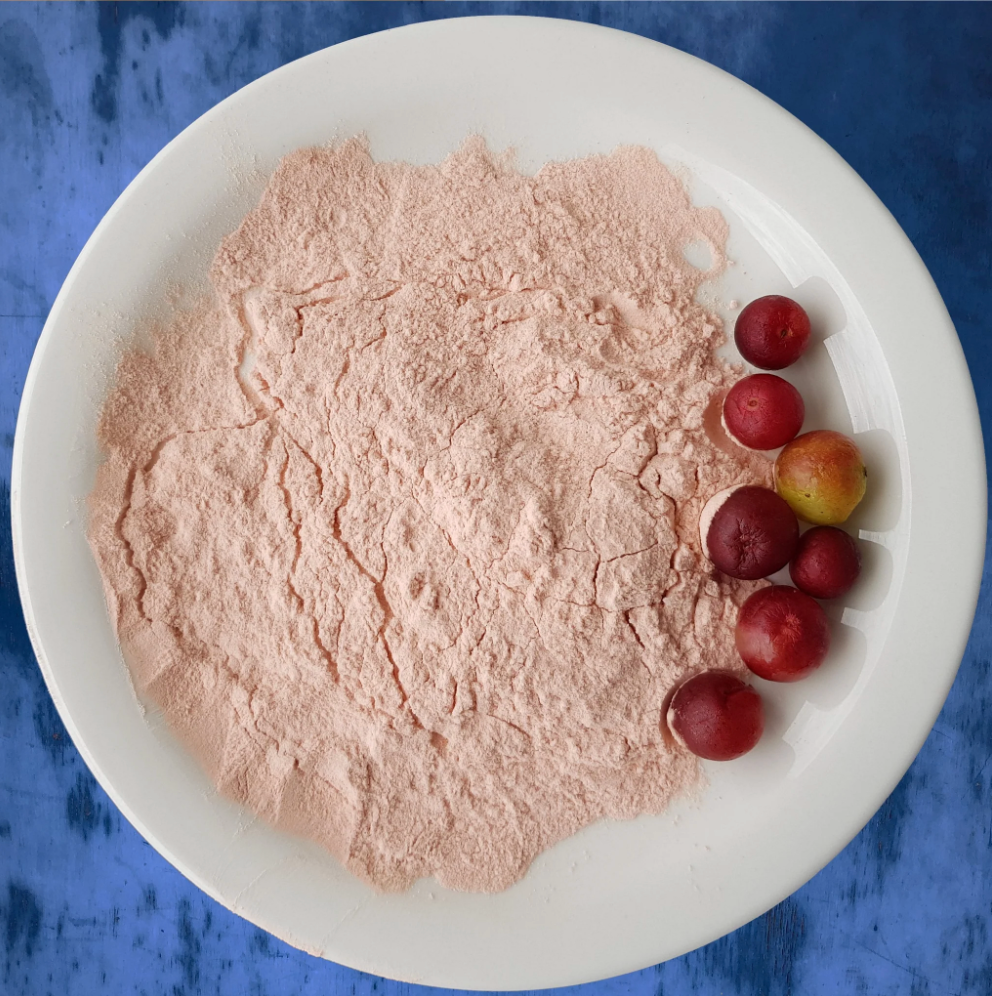 Wilderness Poets | Organic Camu Camu Berry Powder