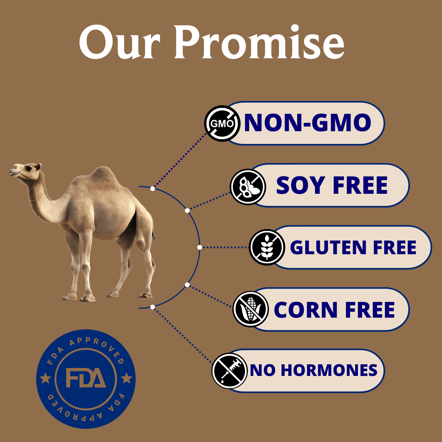 Camel Milk | 1 Liter