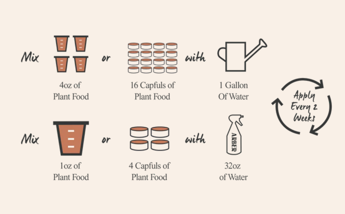 Organic Plant Food