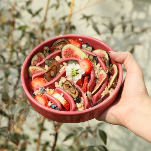 PEHOM | Slow Feeder Dog Bowls