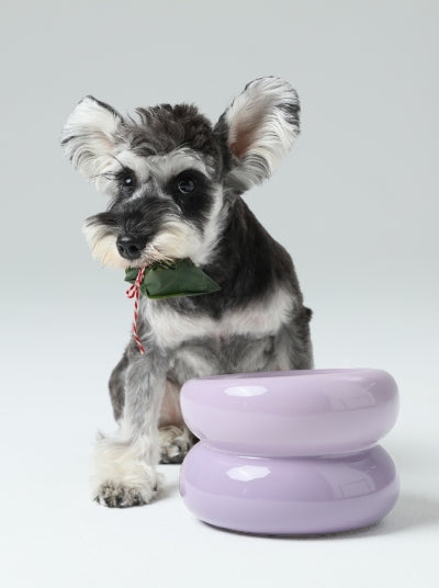 PEHOM | Soufflé Pet Bowl | Purple