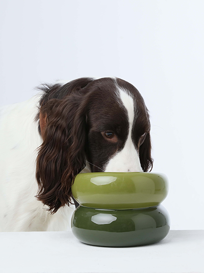PEHOM | Soufflé Pet Bowl | Avocado Green