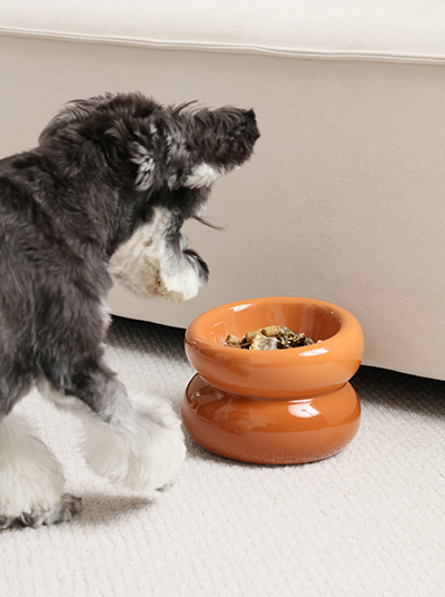 PEHOM | Soufflé Pet Bowl | Amber Orange