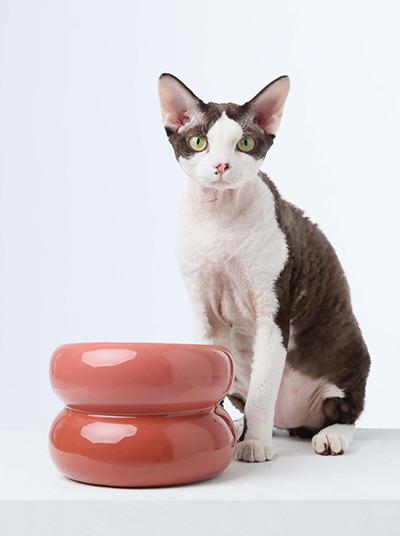 PEHOM | Soufflé Pet Bowl | Rose Pink
