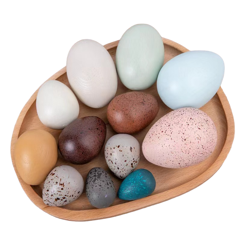 12-Piece Wooden Bird Eggs Set