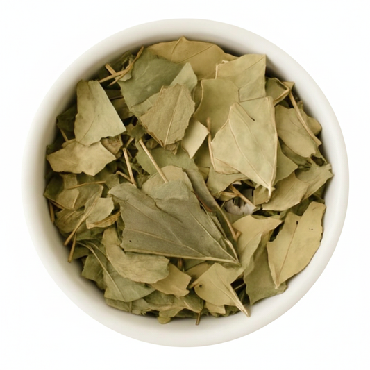 Soursop | Immune | Cellular | Antioxidant Support