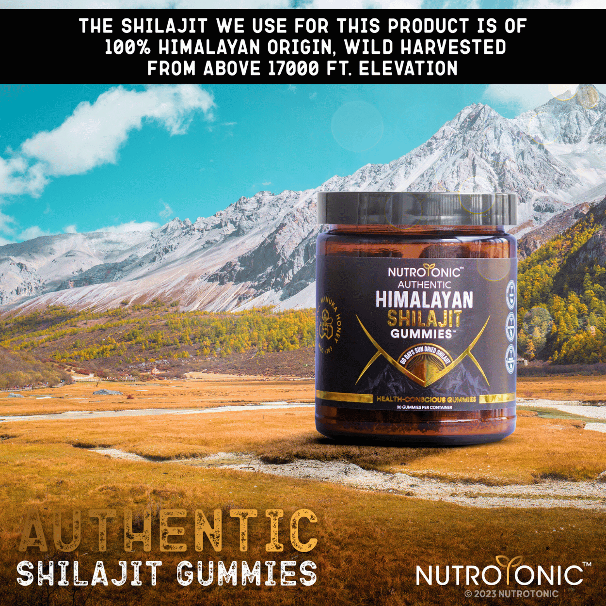 Authentic Himalayan Shilajit® Gummies