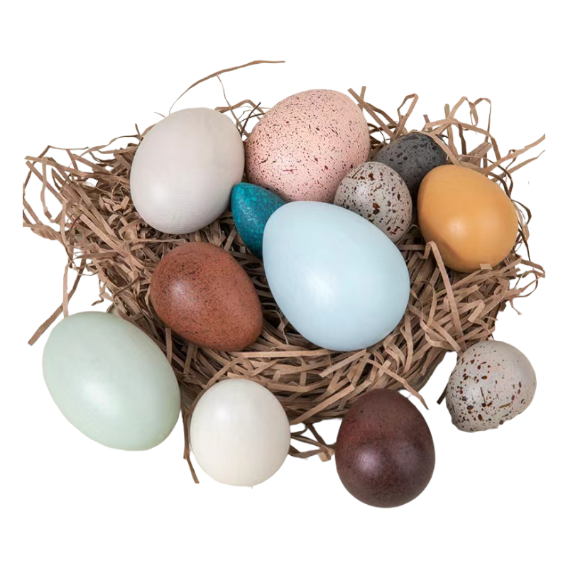 12-Piece Wooden Bird Eggs Set