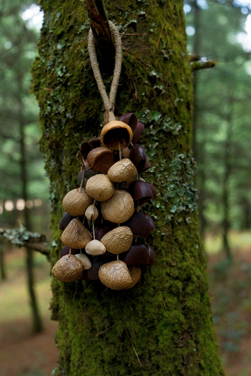 Handmade Entada, Pala Cardamom & Chacha Oleander Seed Shell Hand Bell