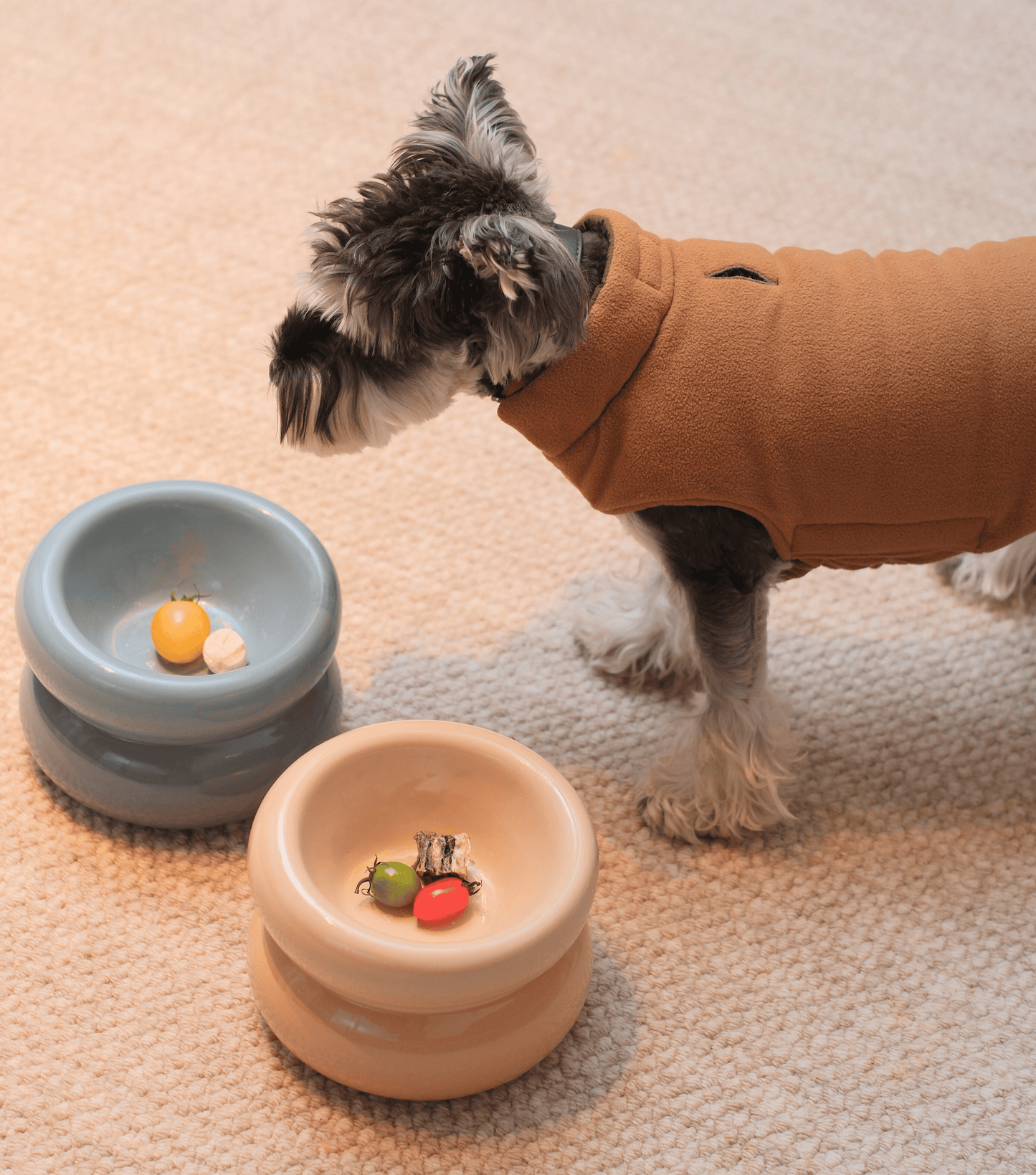 PEHOM | Soufflé Pet Bowl | Cream Beige