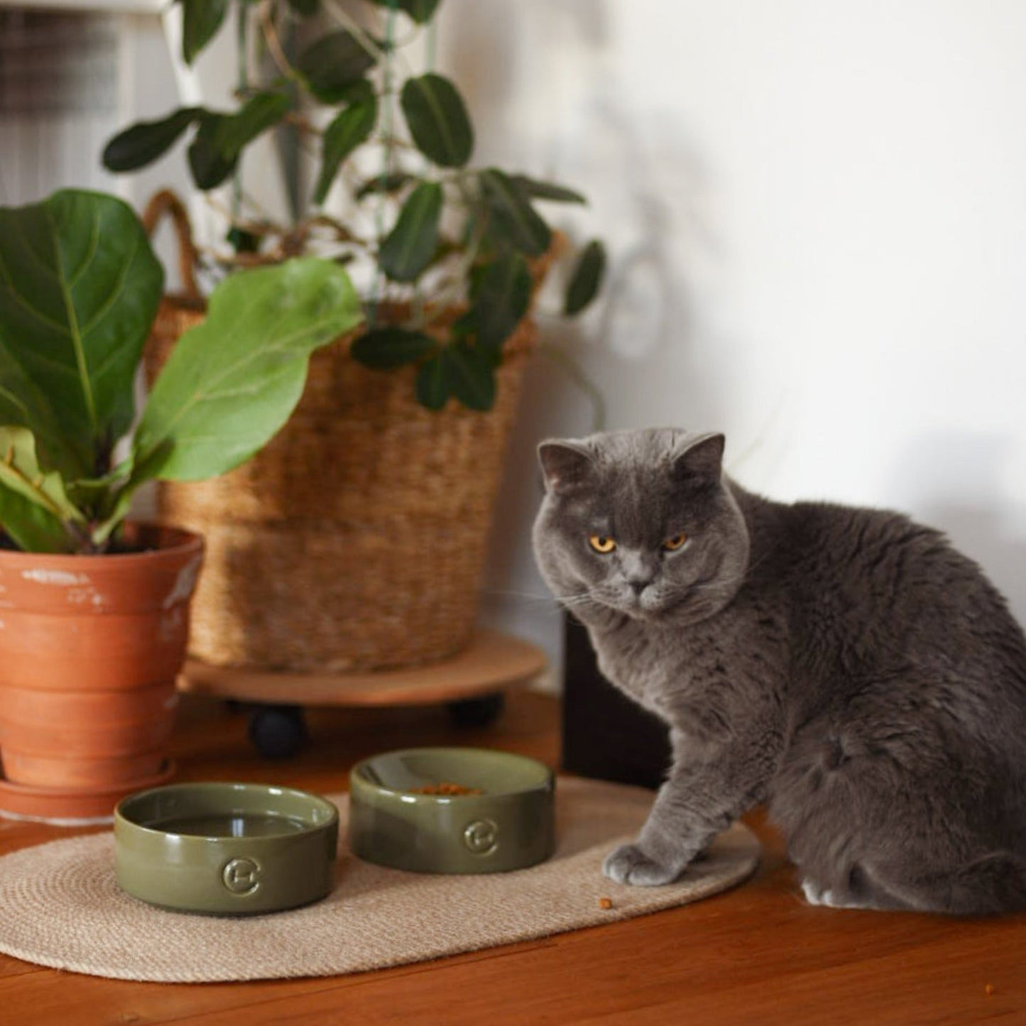 Harley & Cho | Sphere Ceramic Pet Bowl | Small