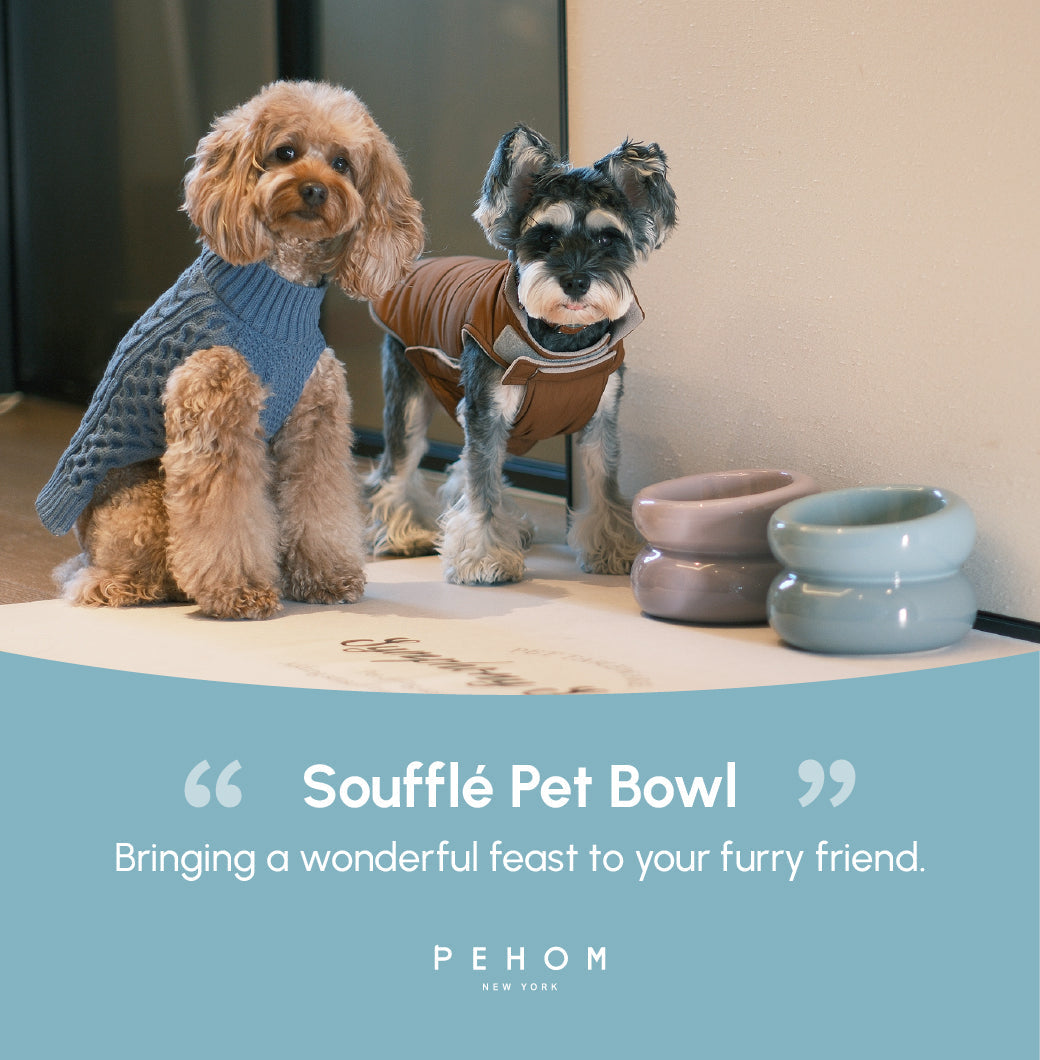 PEHOM | Soufflé Pet Bowl | Frozen Blue