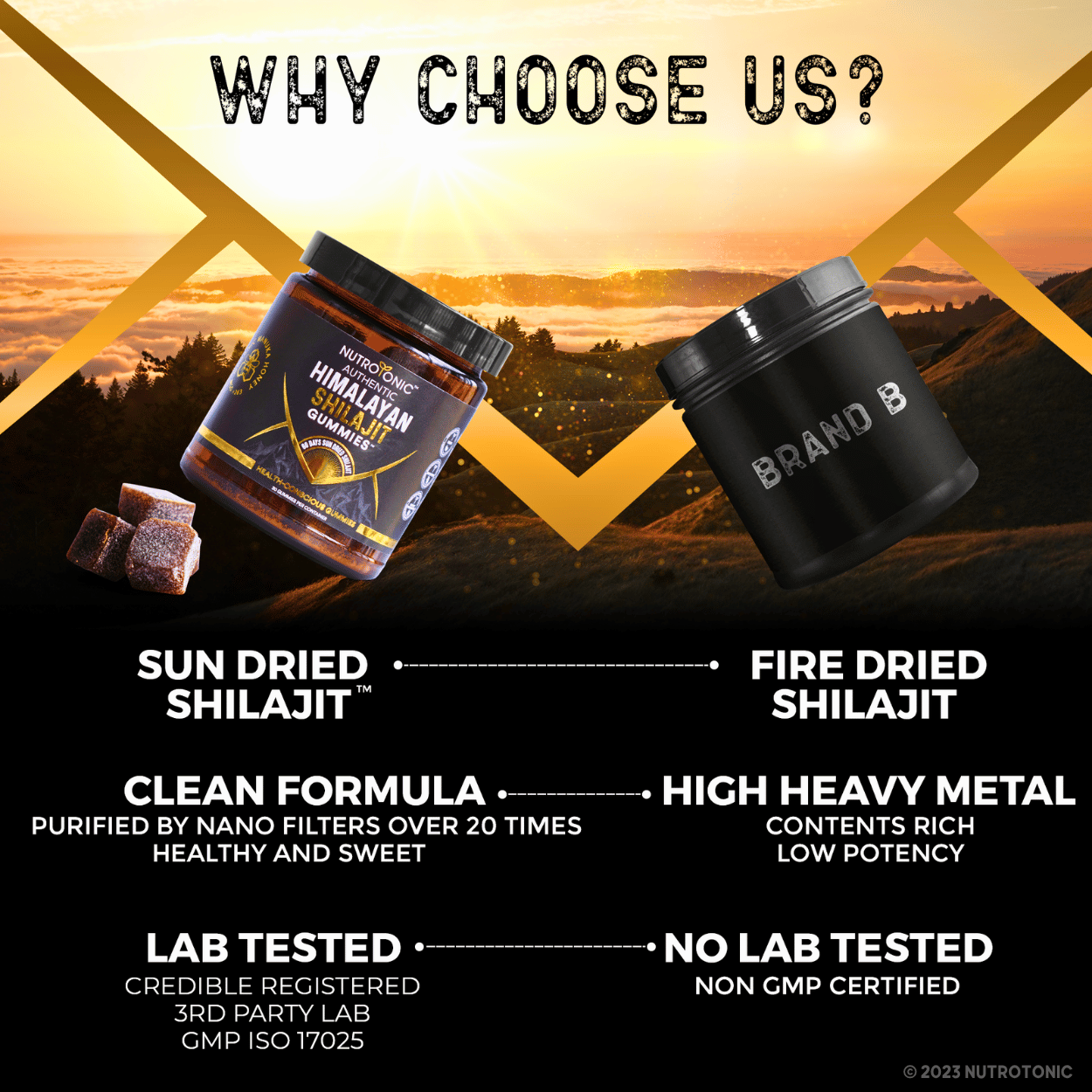 Authentic Himalayan Shilajit® Gummies