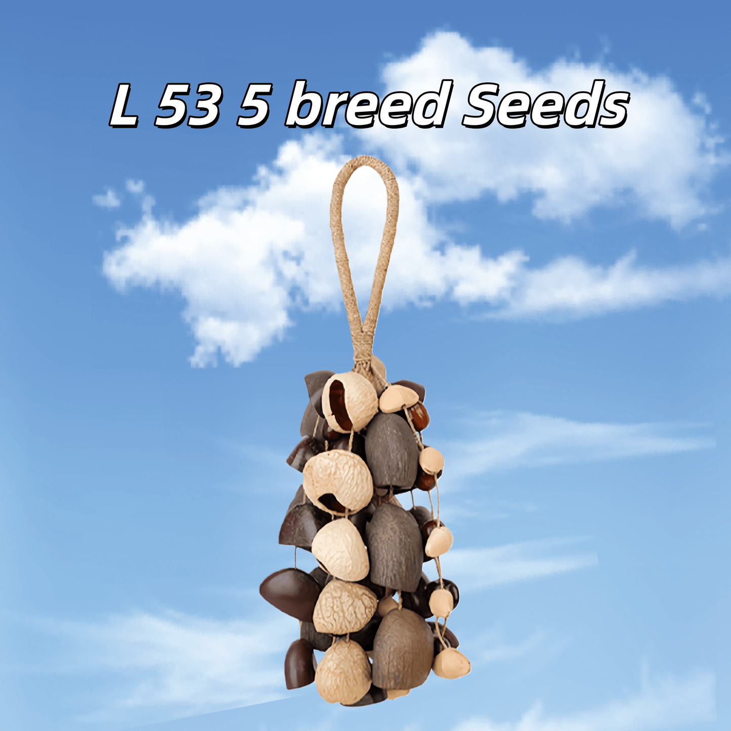 Handmade Entada, Pala Cardamom & Chacha Oleander Seed Shell Hand Bell