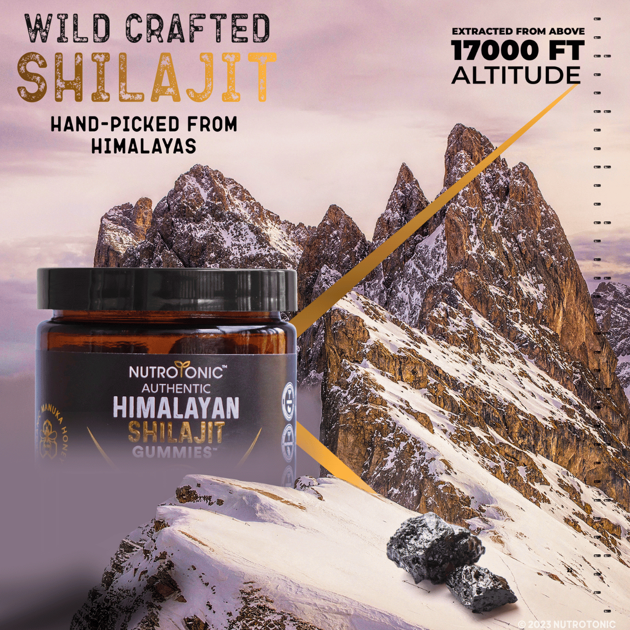 Authentic Himalayan Shilajit® Gummies
