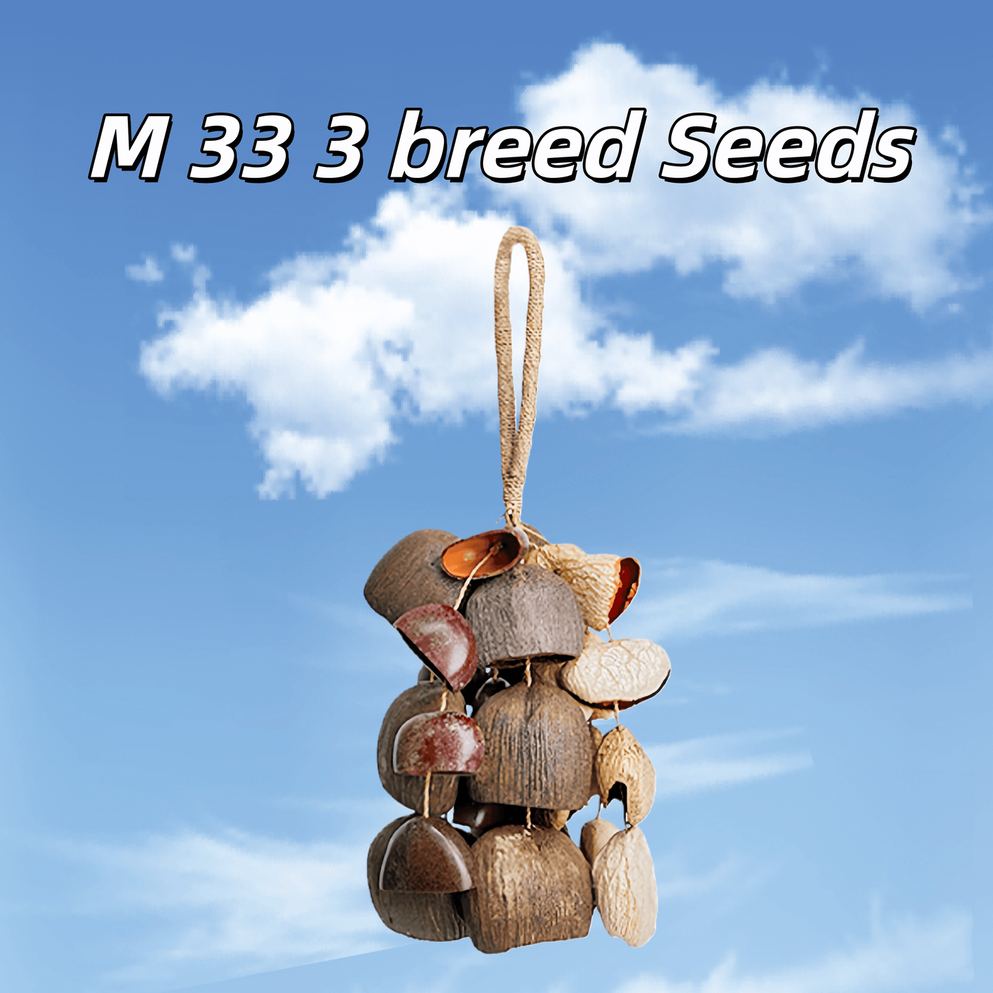 Handmade Entada, Pala Cardamom & Chacha Oleander Seed Shell Hand Bell