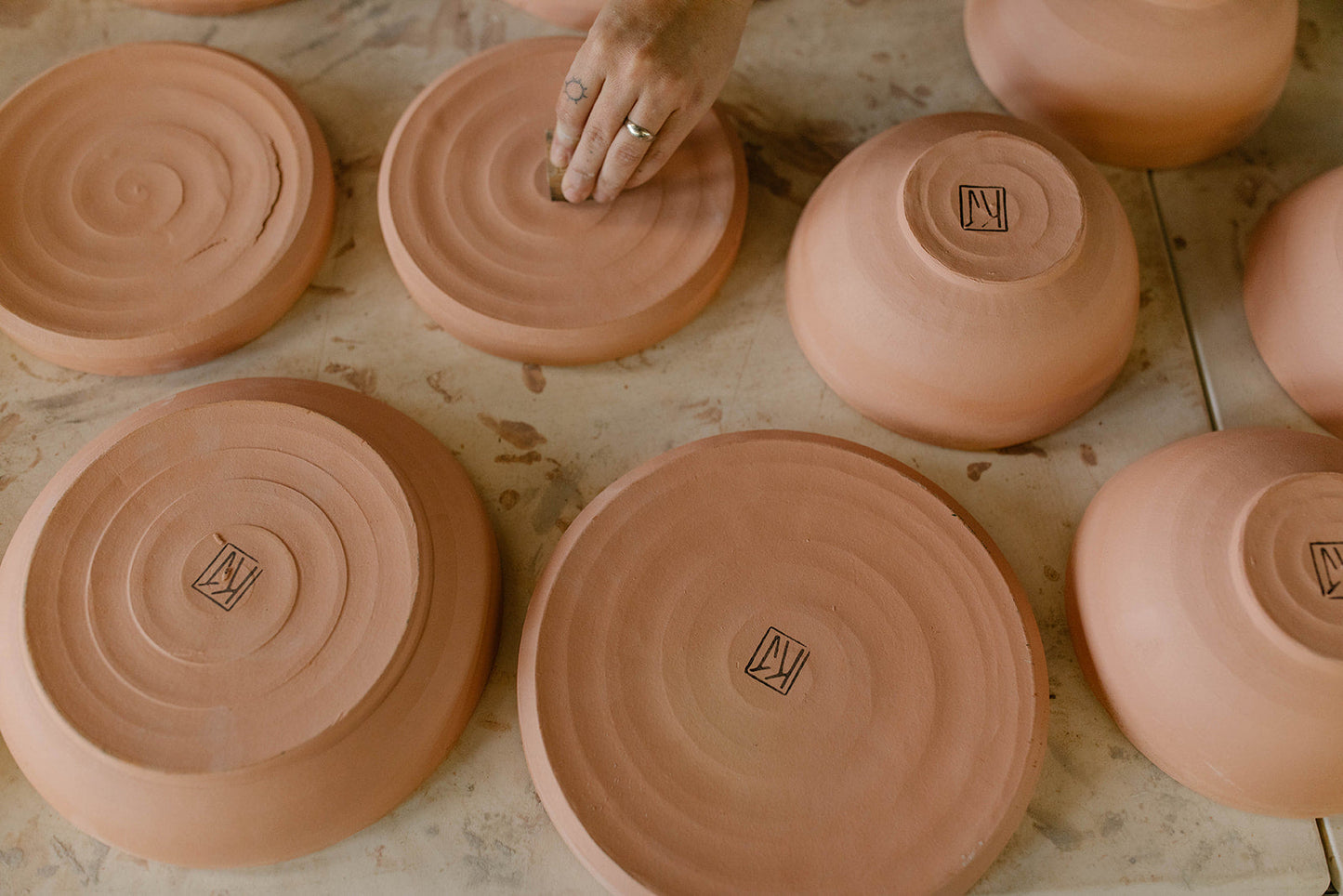 Earthenware Dinner Plate