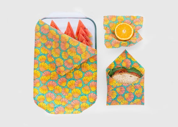 Beeswax Food Wrap | Sunrise Shell Print