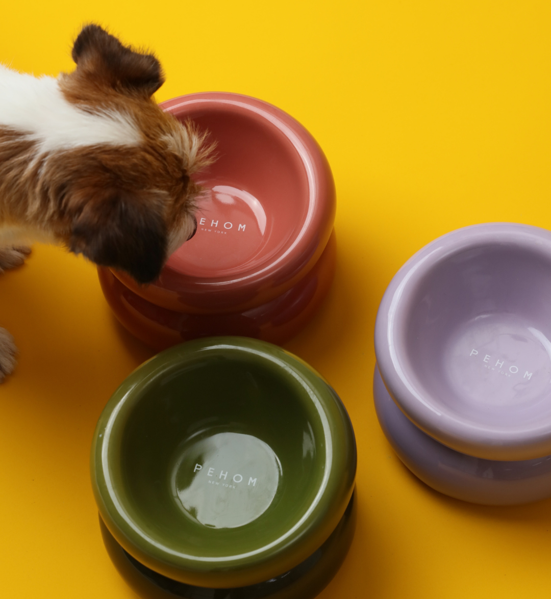 PEHOM | Soufflé Pet Bowl | Purple
