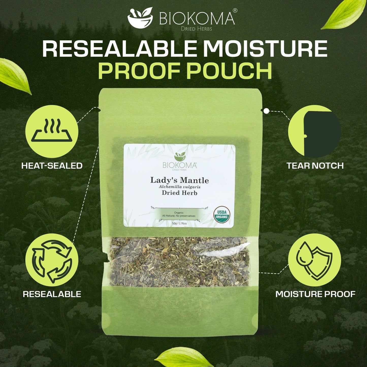 Lady's Mantle | Premium Loose Leaf Dried Herb