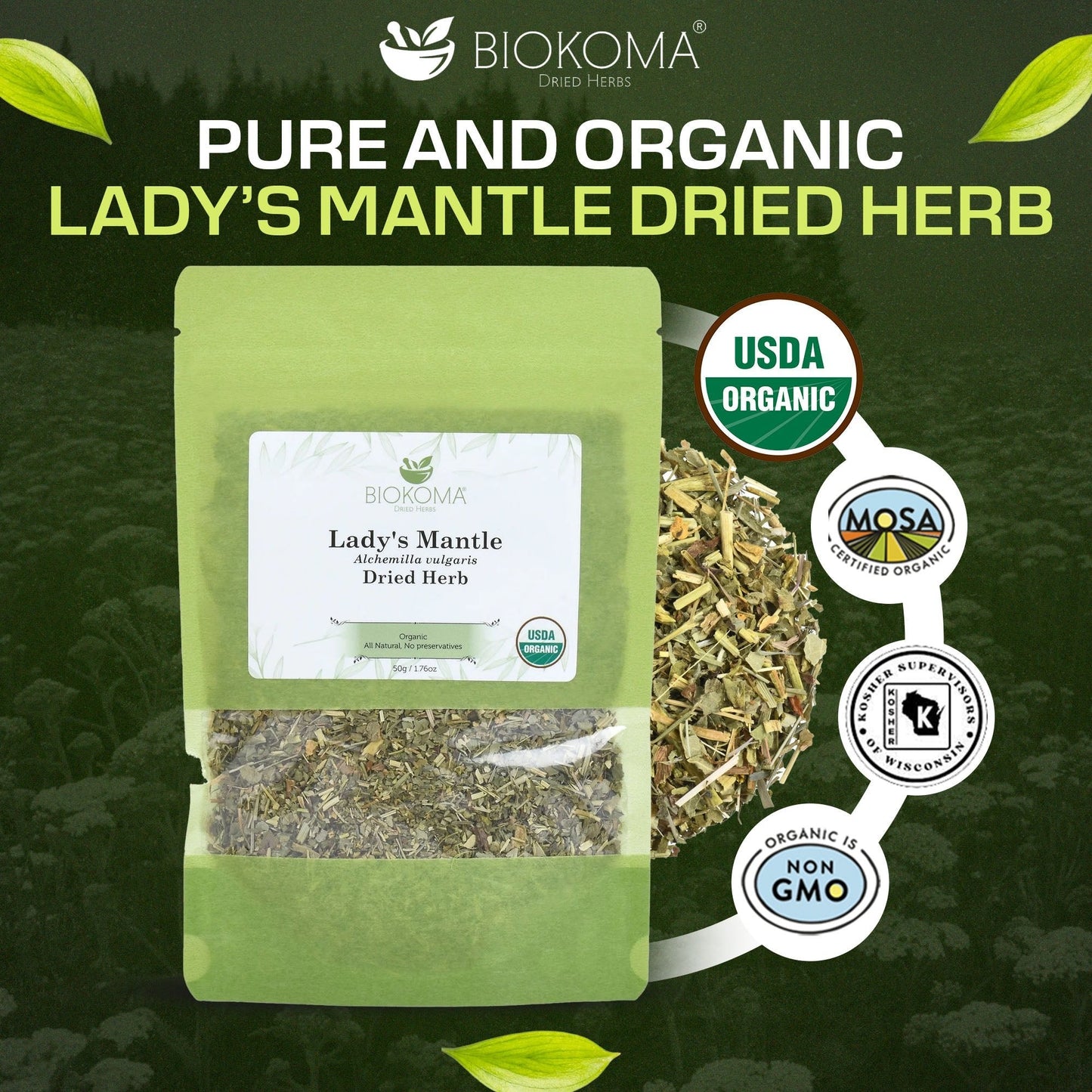 Lady's Mantle | Premium Loose Leaf Dried Herb