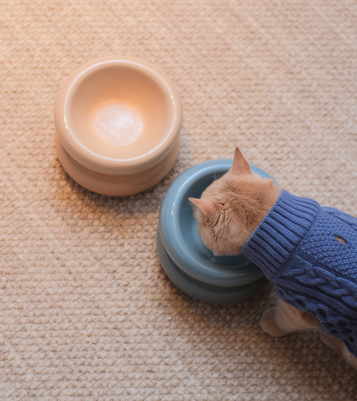 PEHOM | Soufflé Pet Bowl | Cream Beige