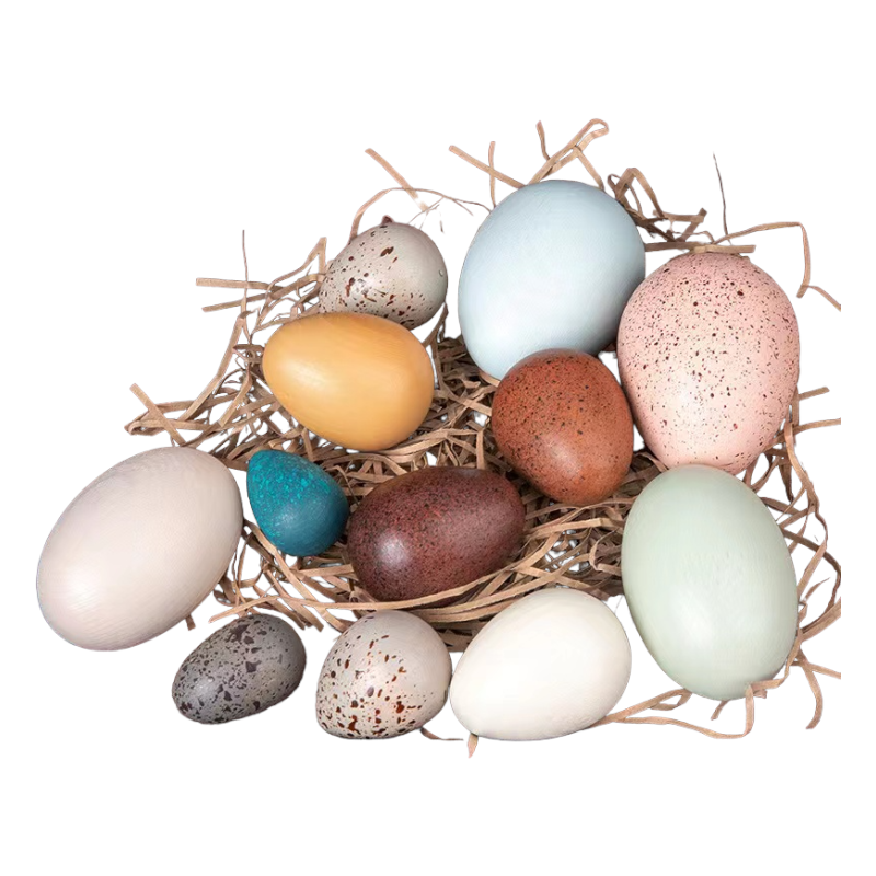 12-Piece Wooden Bird Eggs Set