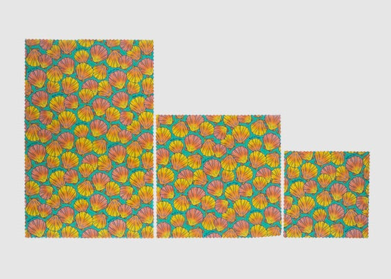 Beeswax Food Wrap | Sunrise Shell Print
