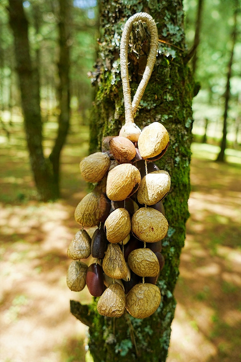 Handmade Entada, Pala Cardamom & Chacha Oleander Seed Shell Hand Bell
