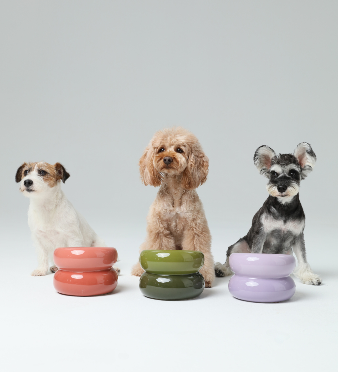 PEHOM | Soufflé Pet Bowl | Purple