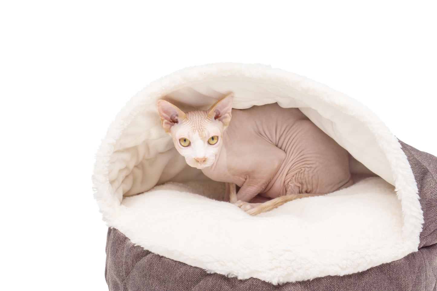 Harley & Cho | Cover Cat Bed