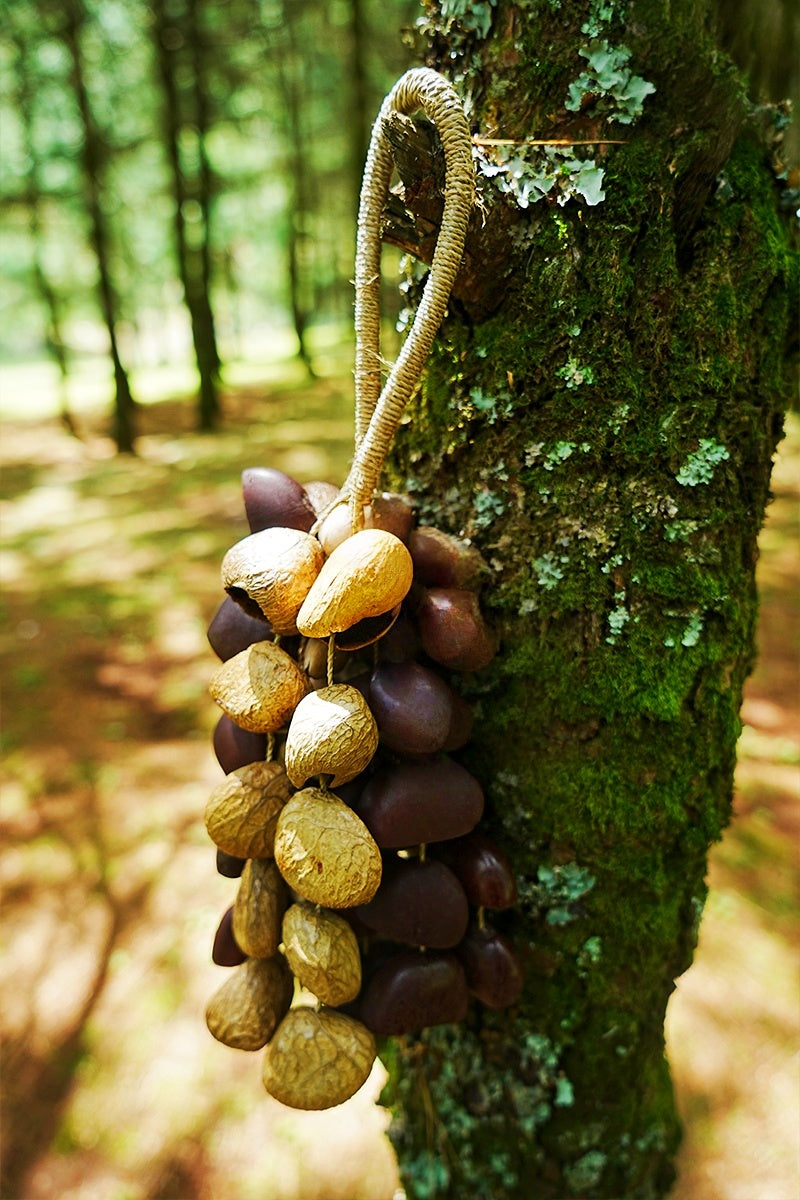Handmade Entada, Pala Cardamom & Chacha Oleander Seed Shell Hand Bell