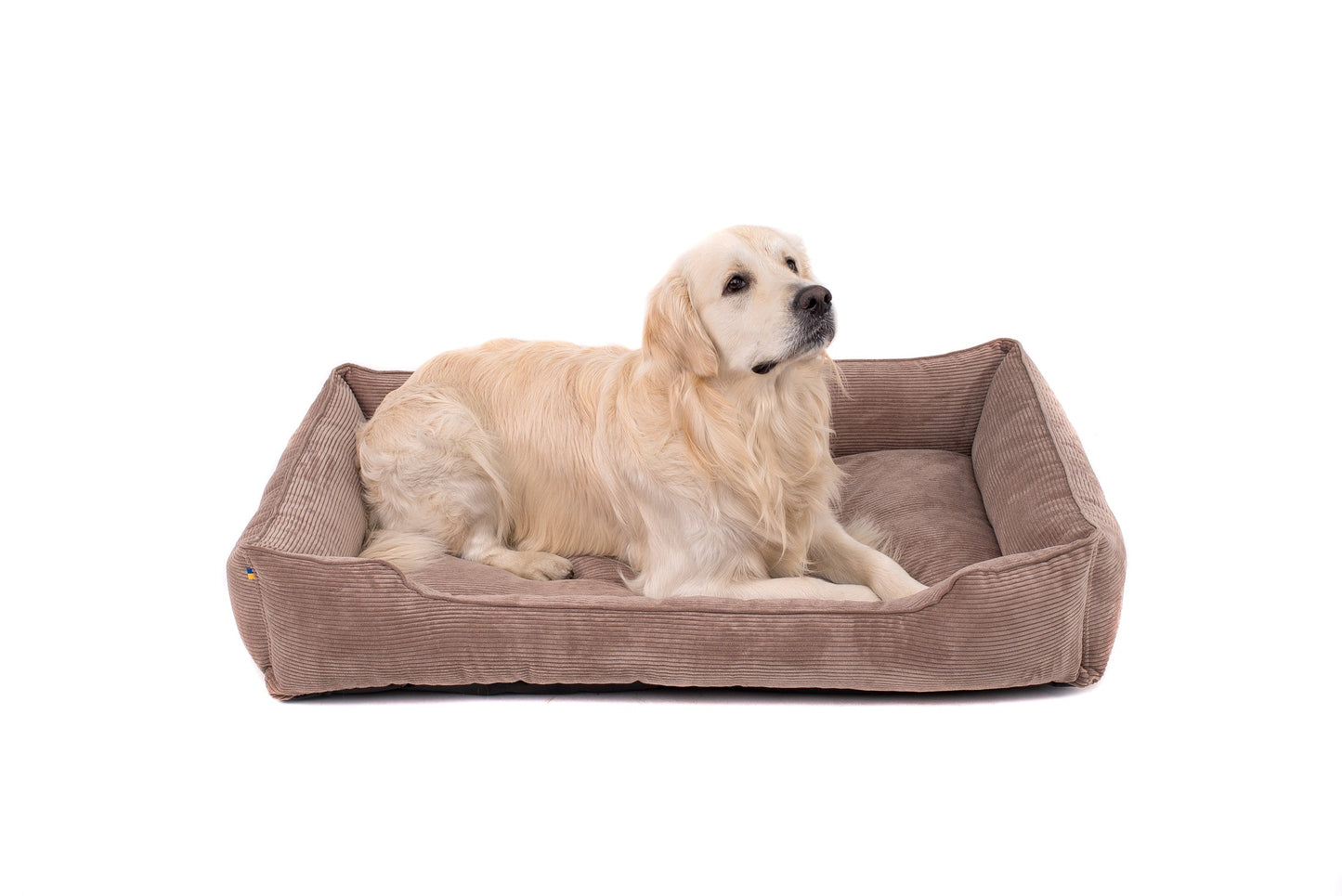 Dreamer Corduroy Dog Bed
