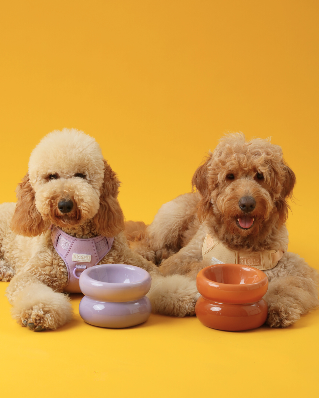 PEHOM | Soufflé Pet Bowl | Purple