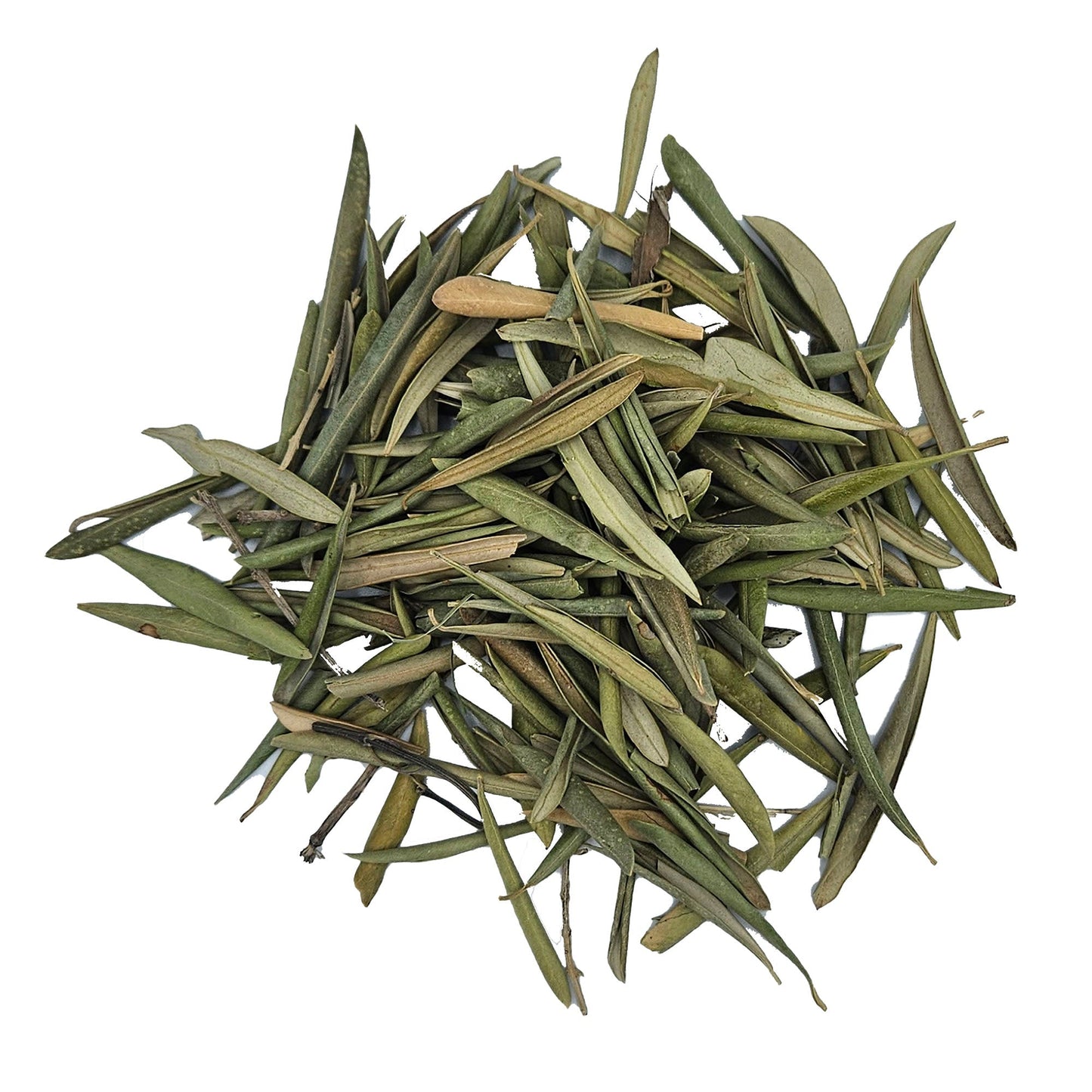 Olive Leaves | Premium Loose Leaf Dried Leaves