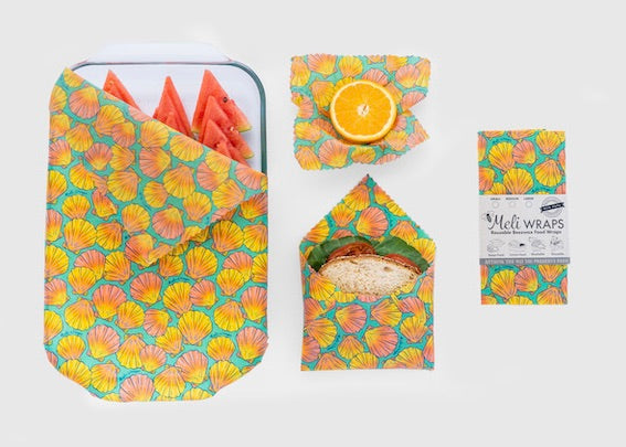 Beeswax Food Wrap | Sunrise Shell Print