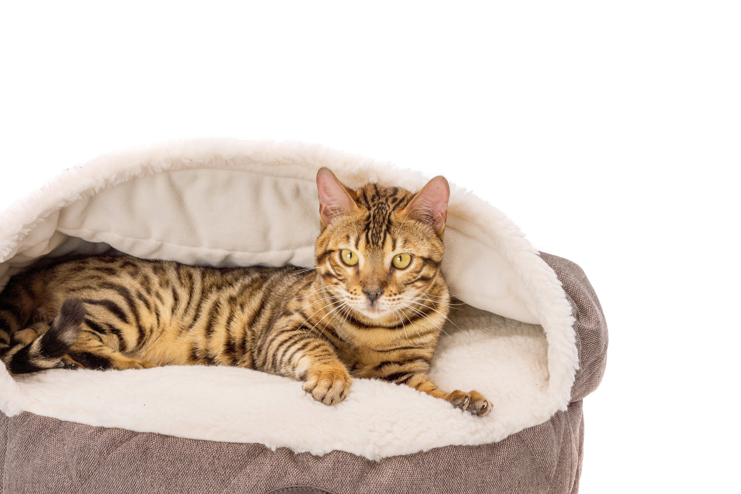 Harley & Cho | Cover Cat Bed