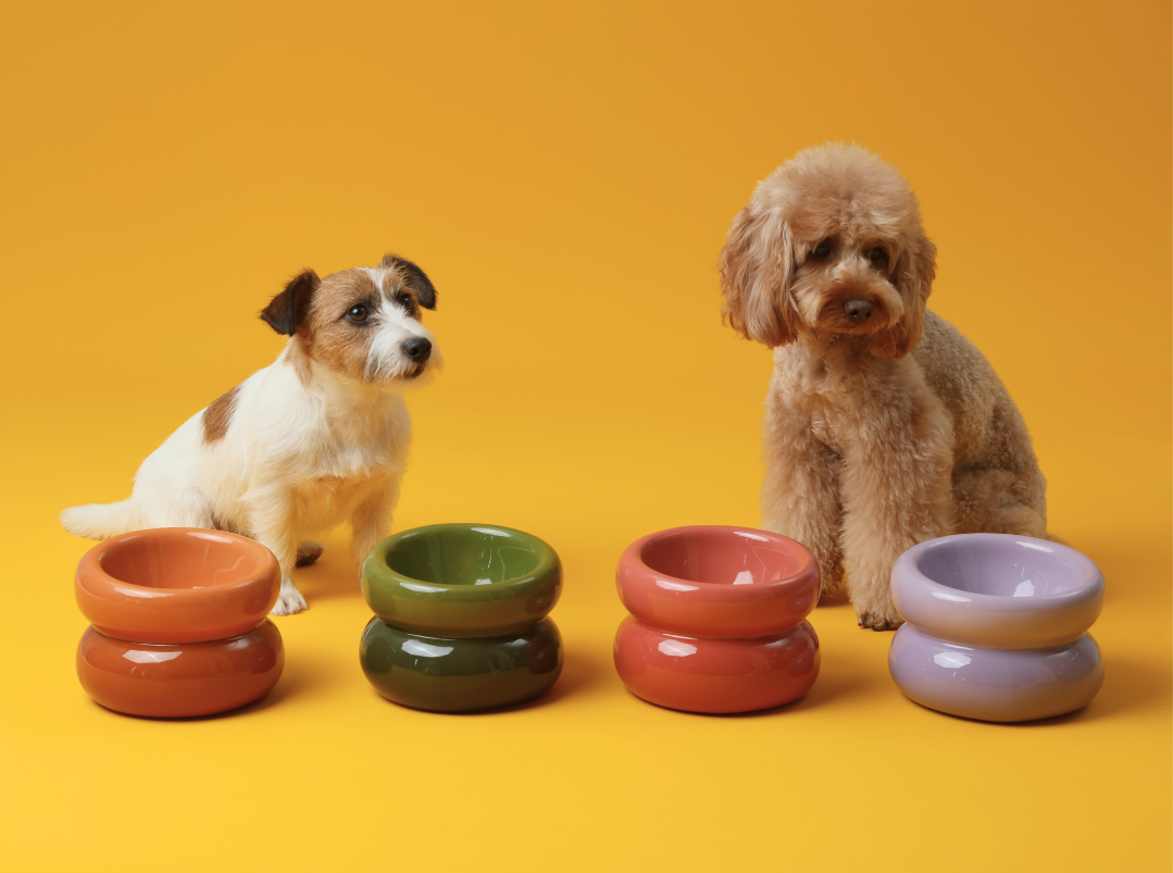 PEHOM | Soufflé Pet Bowl | Purple