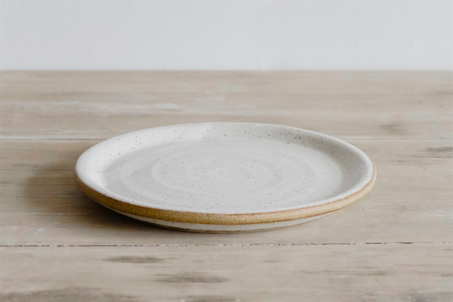 Earthenware Dinner Plate