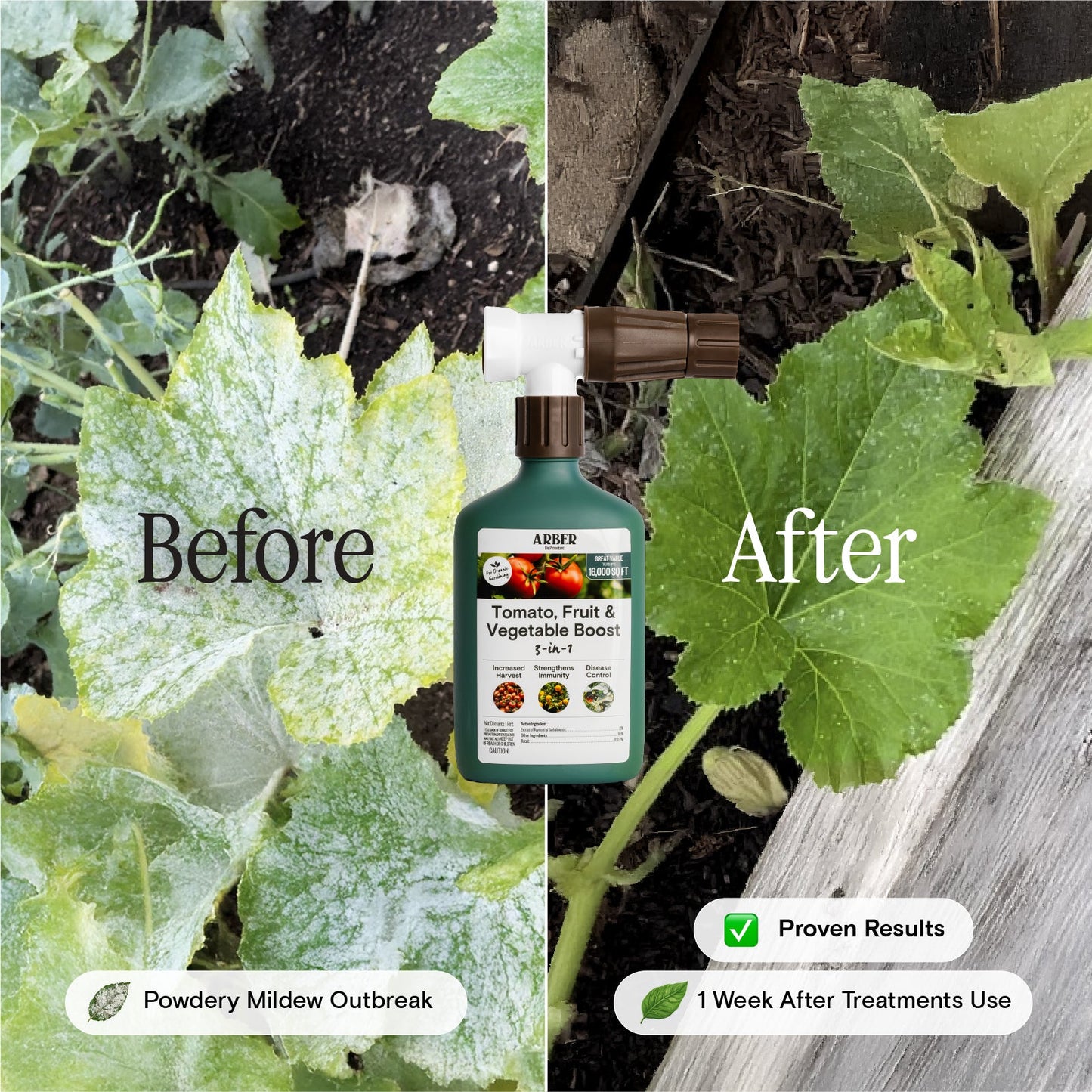 Organic Tomato | Fruit | Vegetable Boost