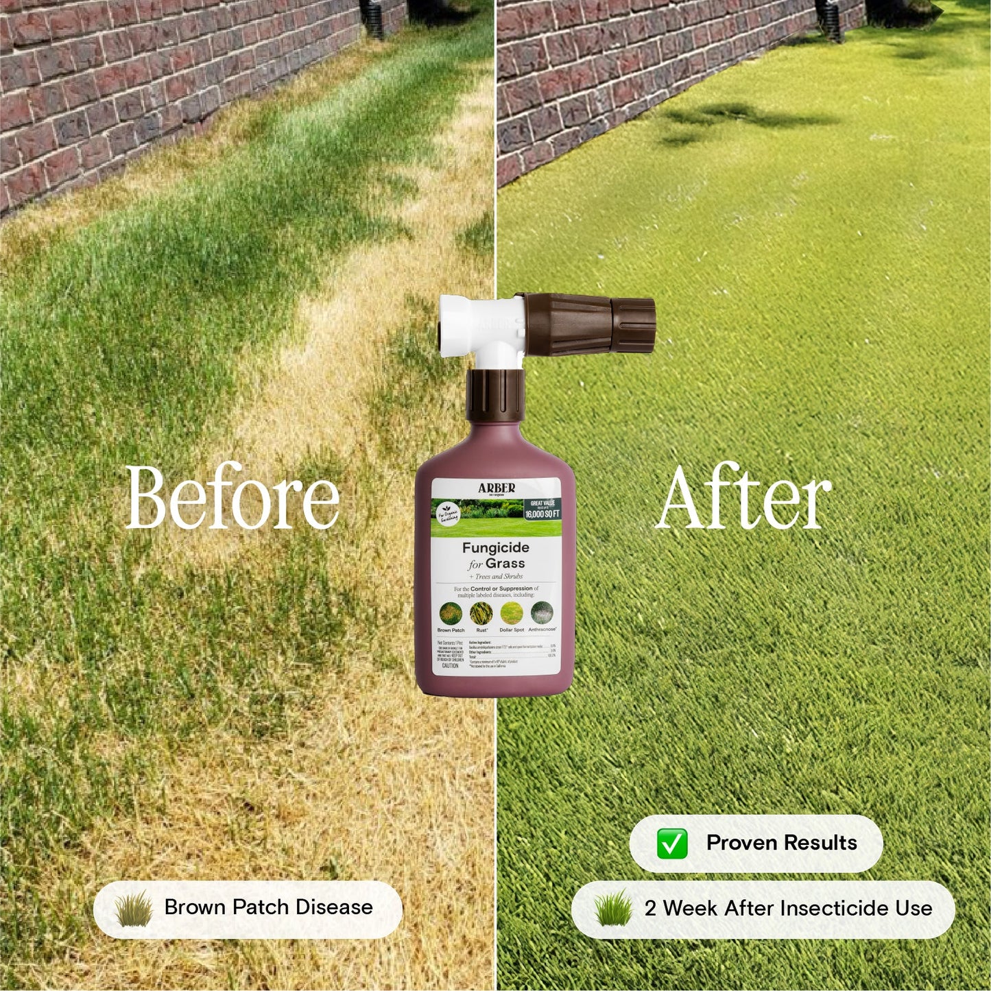 Organic Fungicide for Grass | Trees | Shrubs